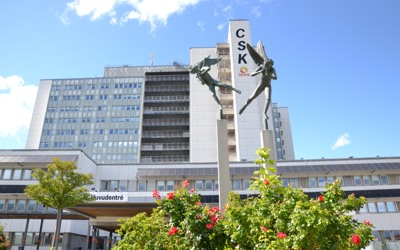 Staty som står framför huvudentrén till sjukhuset.