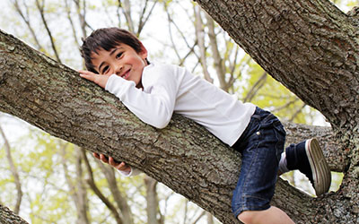 Pojke i träd