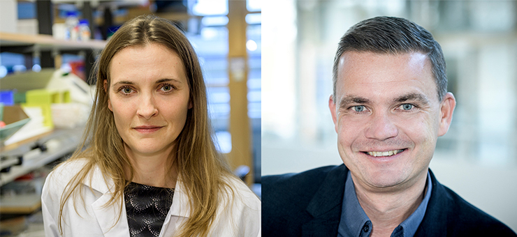 Anja Meissner och Martin Magnusson, forskarna bakom studien om högt blodtryck. 